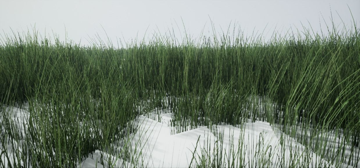 Grass Green And Die Low-poly 3D model_13
