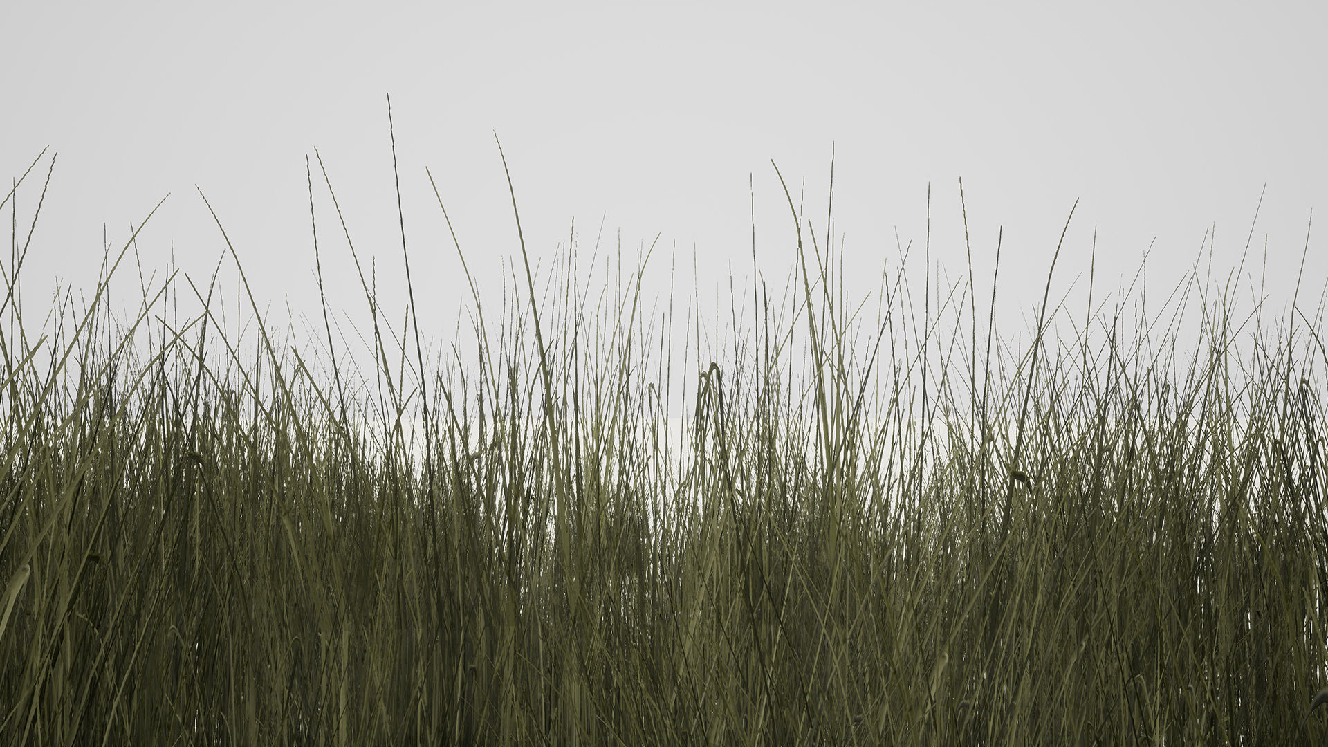 Grass Green And Die Low-poly 3D model_26