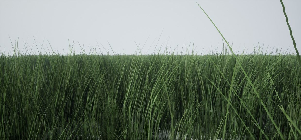 Grass Green And Die Low-poly 3D model_9