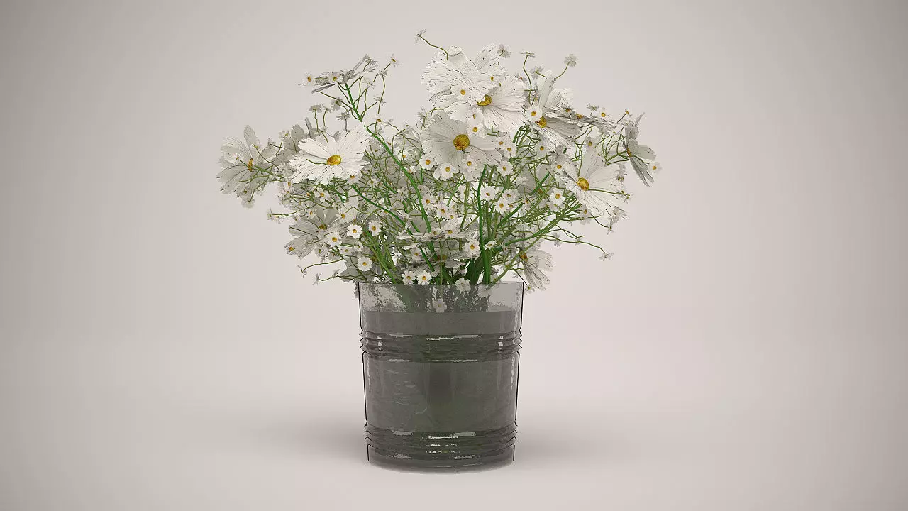 Daisies in vase 3D model_0