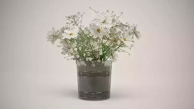 Daisies in vase 3D model