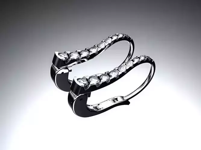 Earrings two diamond hoop