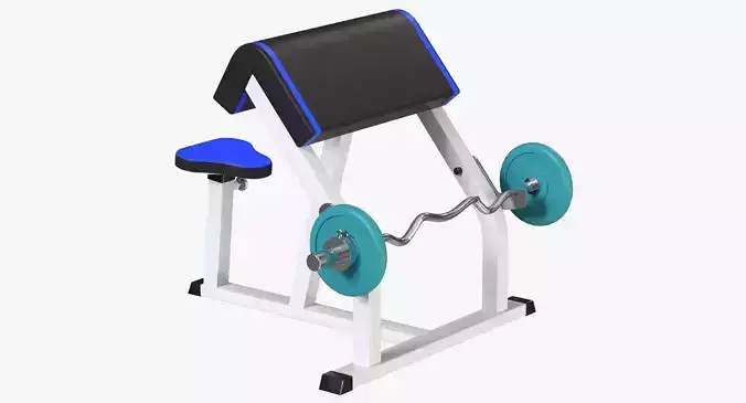 Preacher Curl Bench 3D model