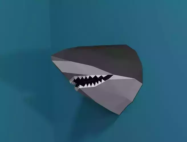 Low poly Shark Head