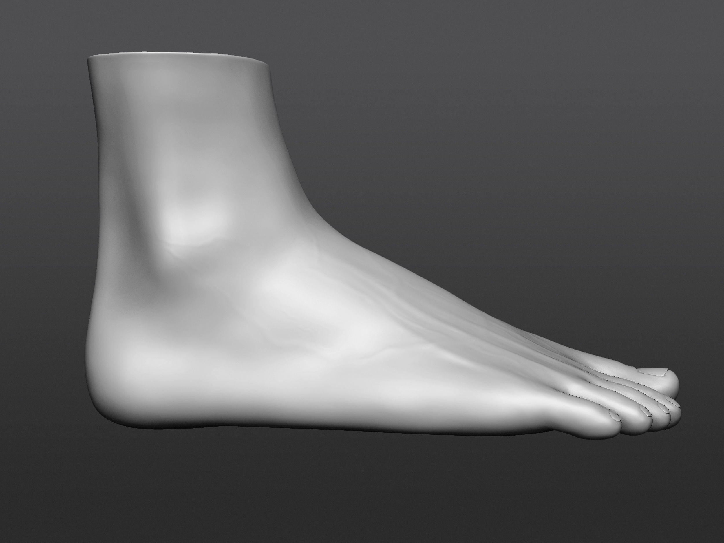 Human 3D foot model 3D model_15