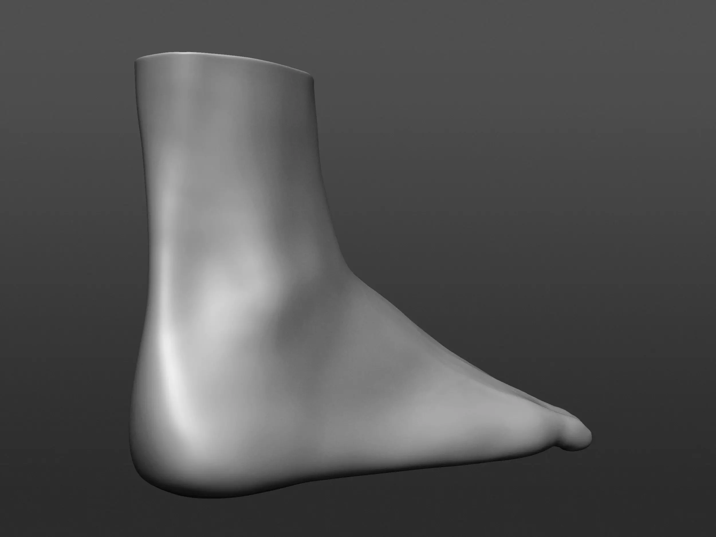 Human 3D foot model 3D model_2