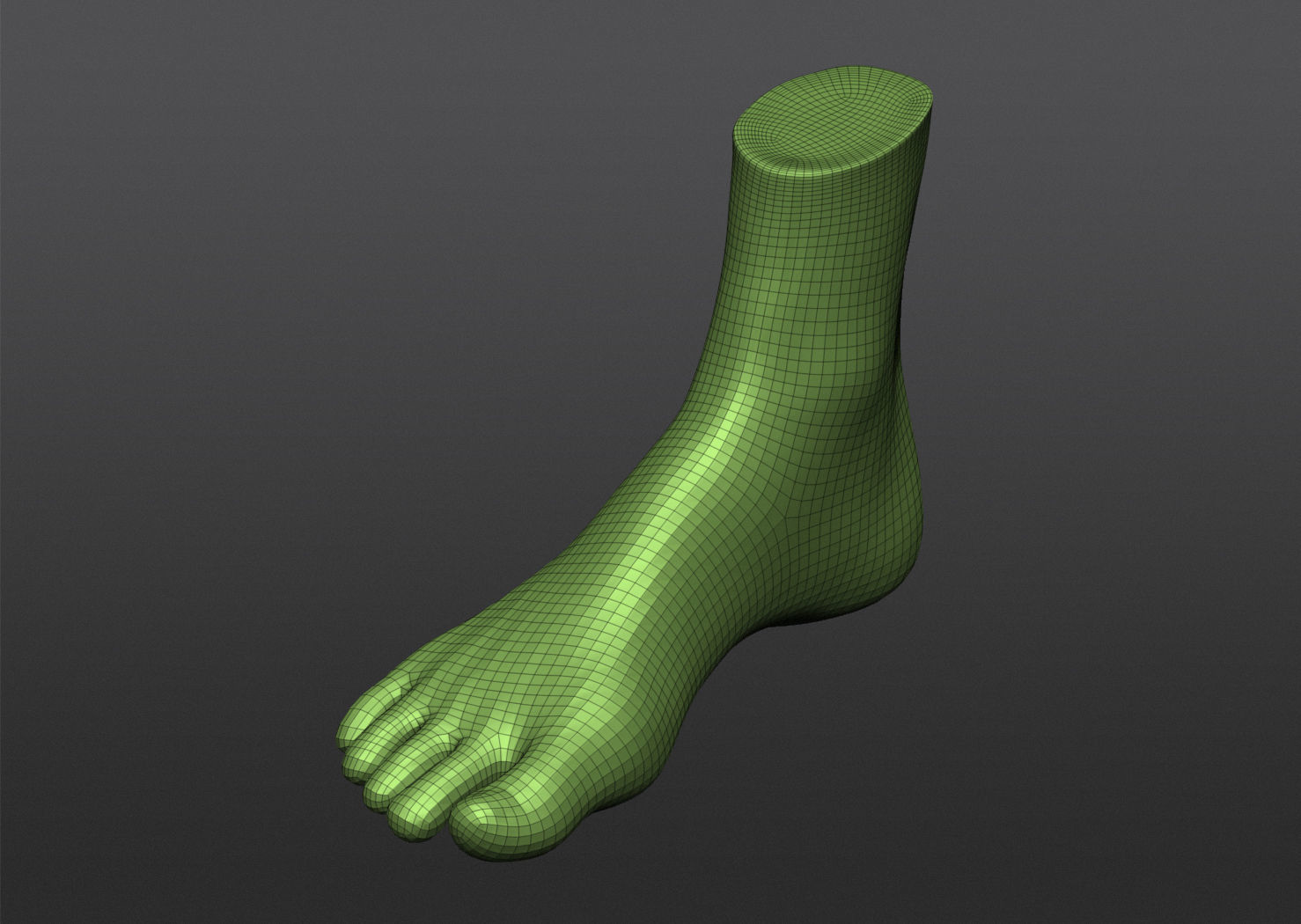 Human 3D foot model 3D model_29