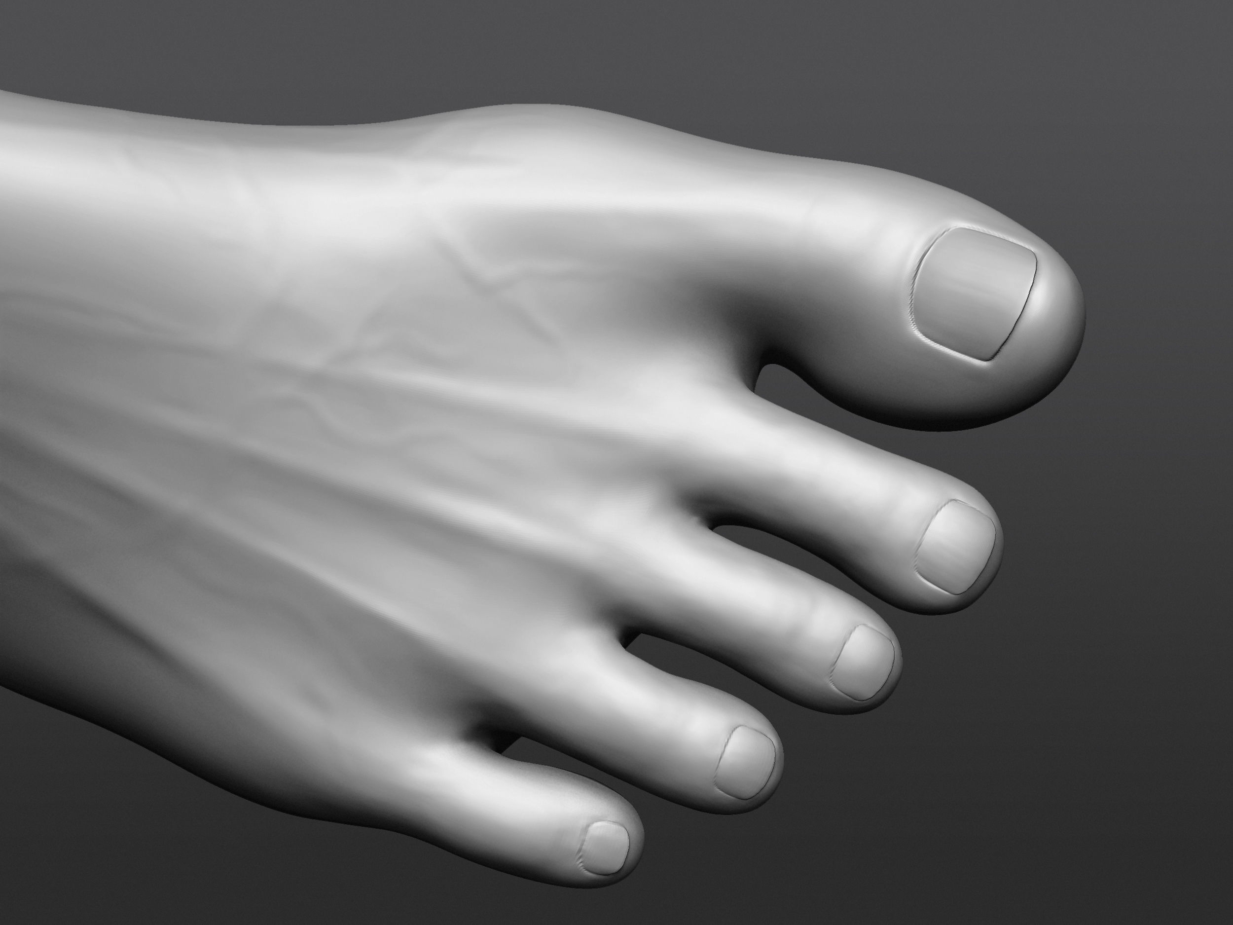 Human 3D foot model 3D model_27