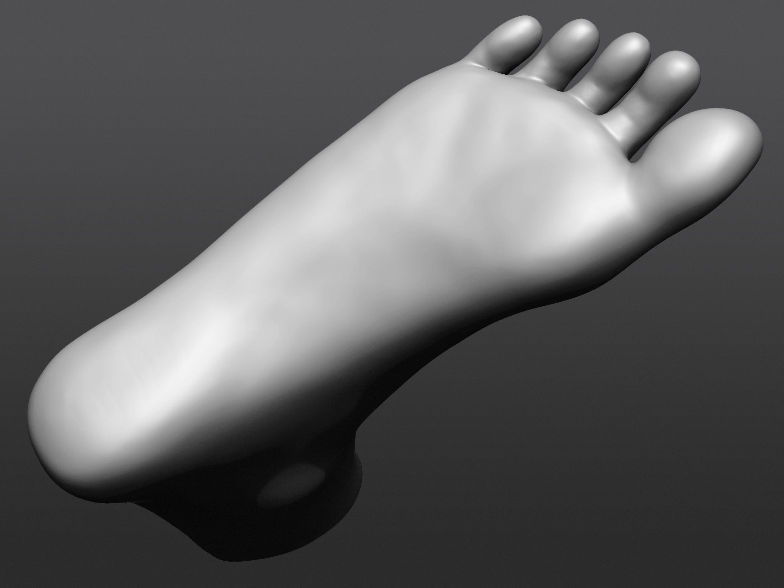 Human 3D foot model 3D model_26