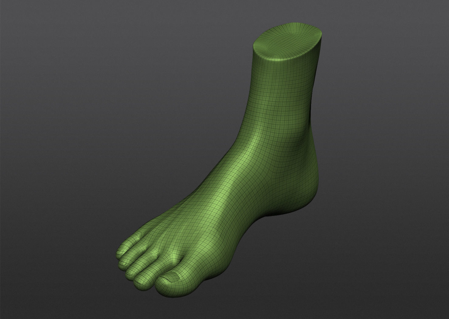 Human 3D foot model 3D model_28