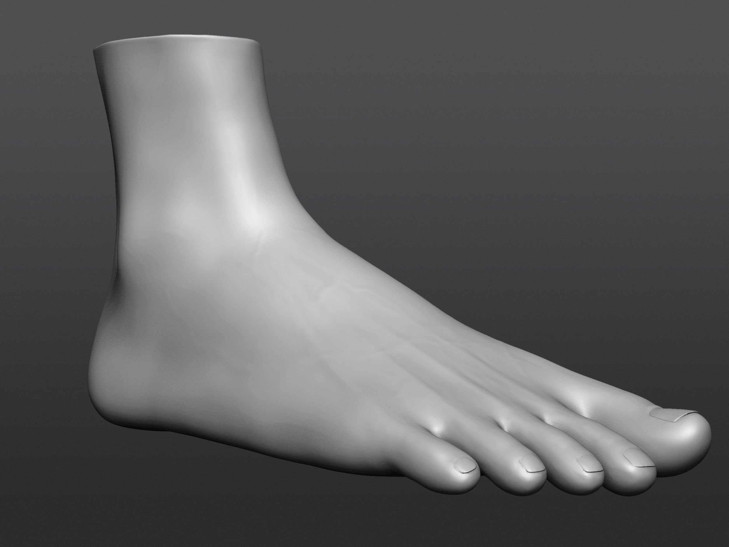 Human 3D foot model 3D model_24