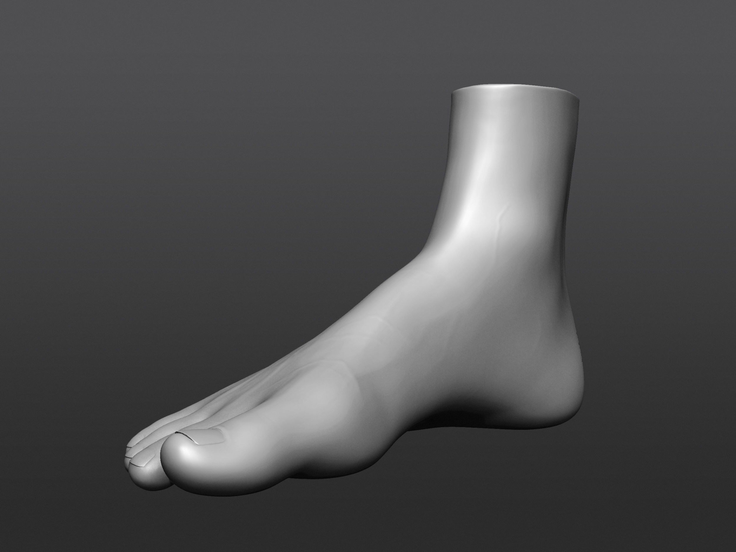 Human 3D foot model 3D model_20