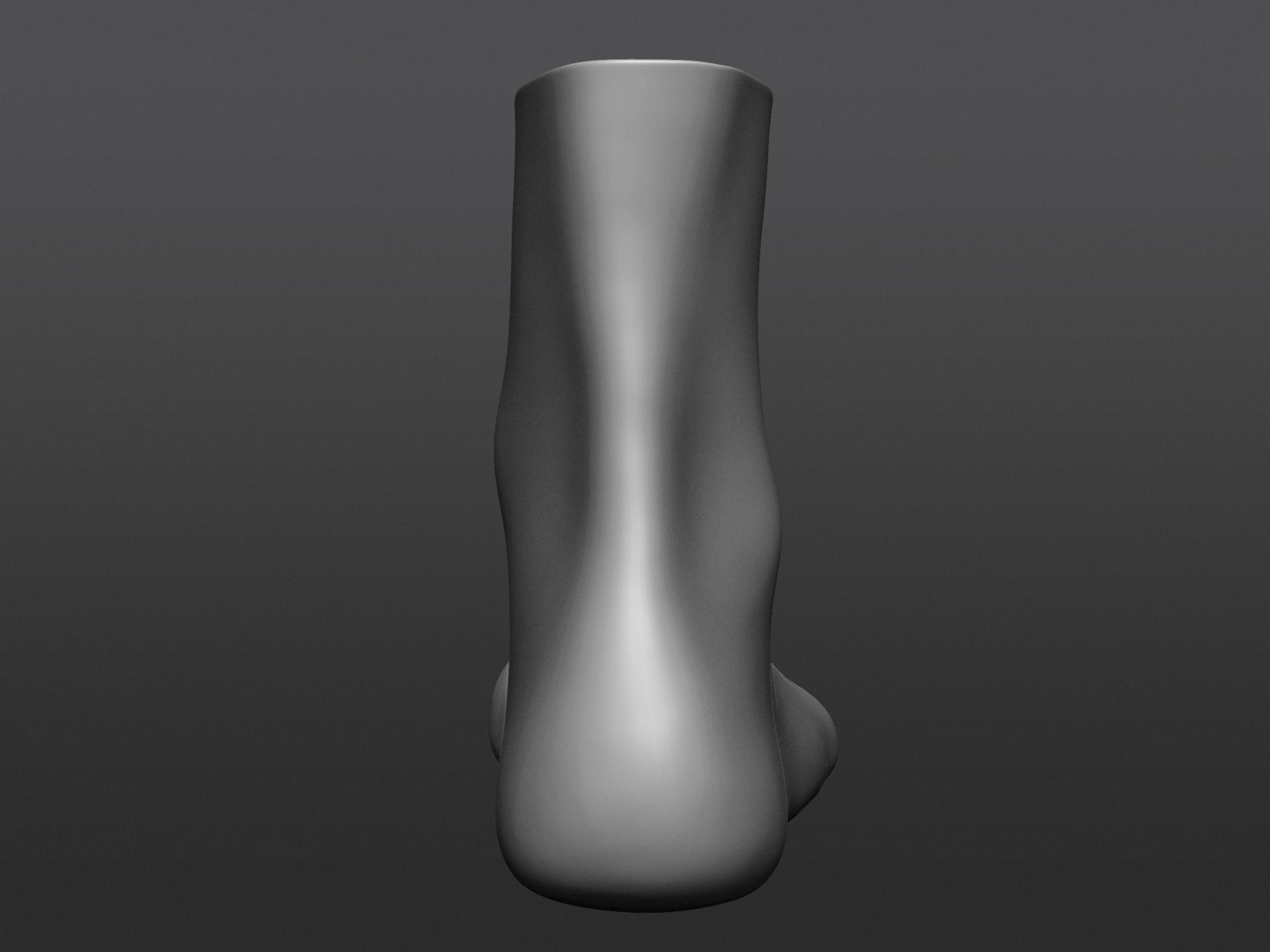 Human 3D foot model 3D model_17