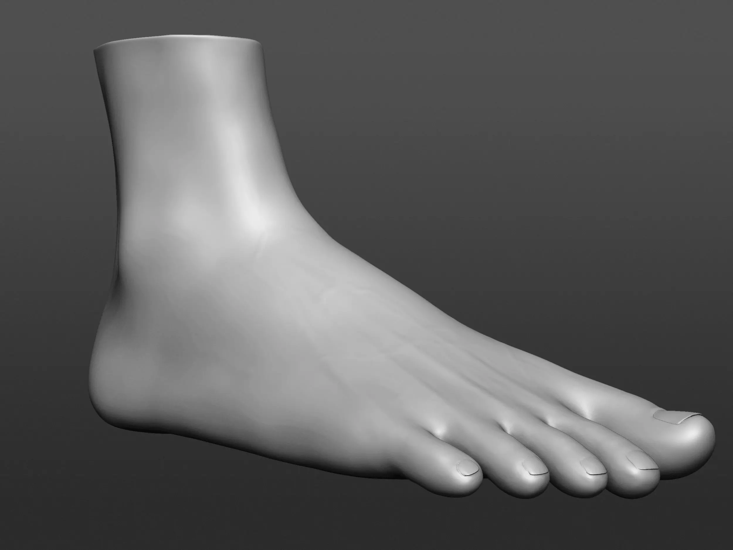 Human 3D foot model 3D model_10