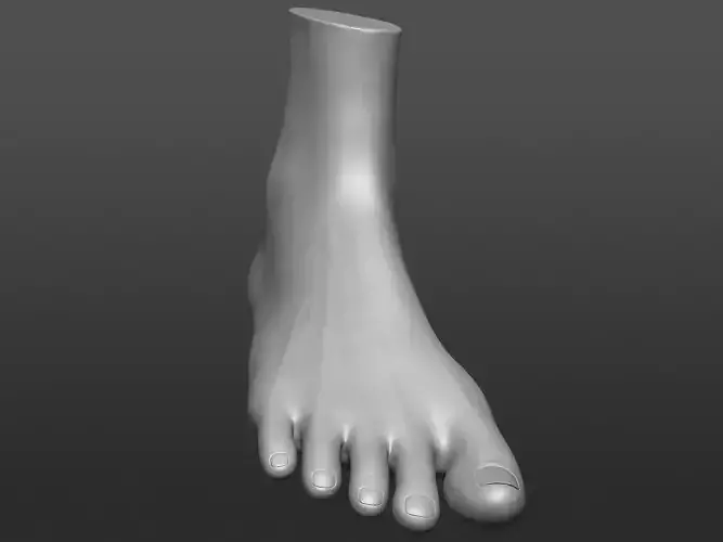 Human 3D foot model 3D model