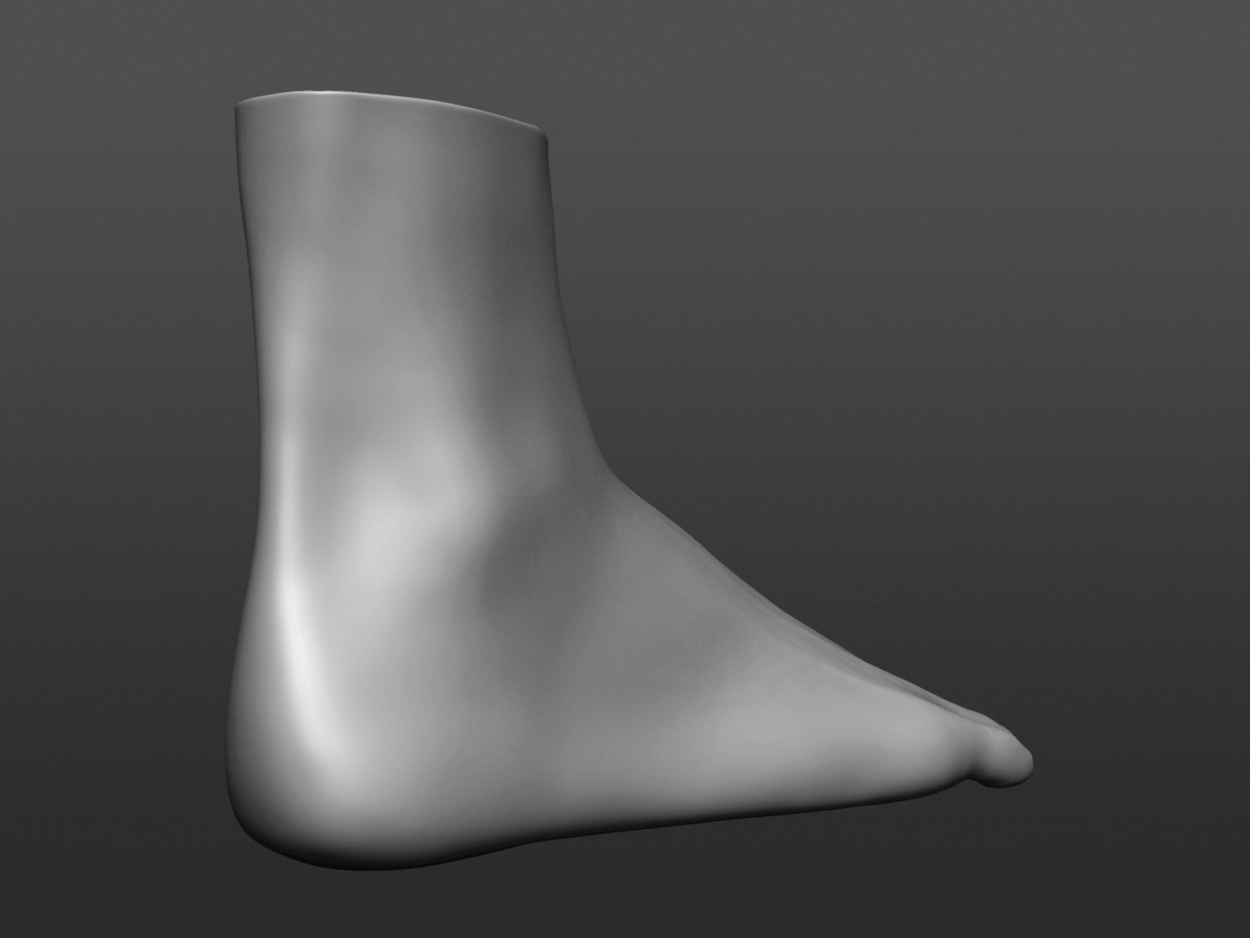 Human 3D foot model 3D model_16