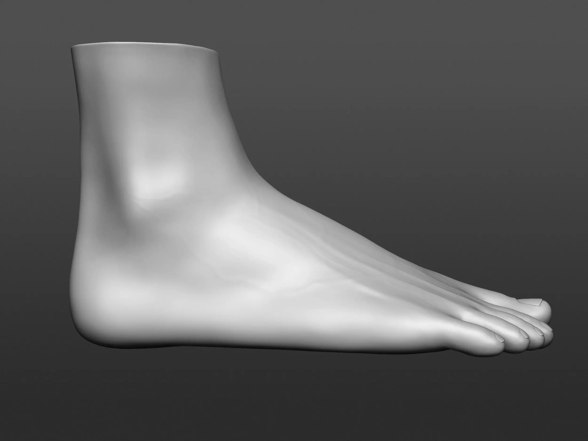 Human 3D foot model 3D model_3
