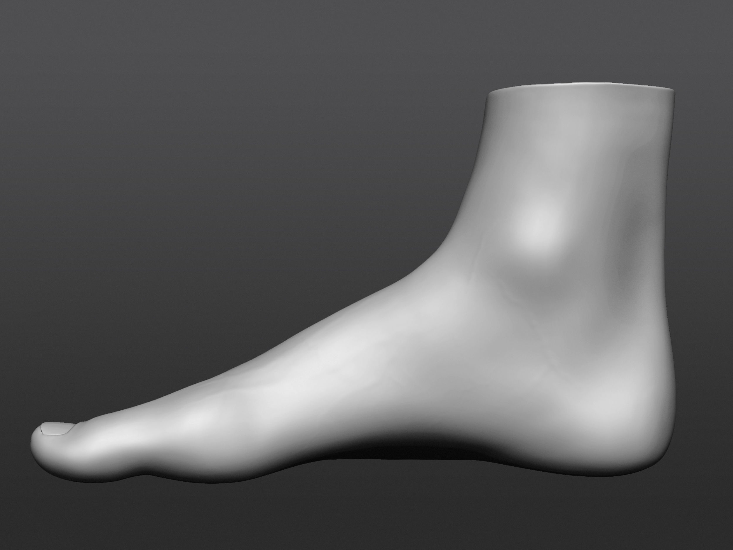 Human 3D foot model 3D model_19
