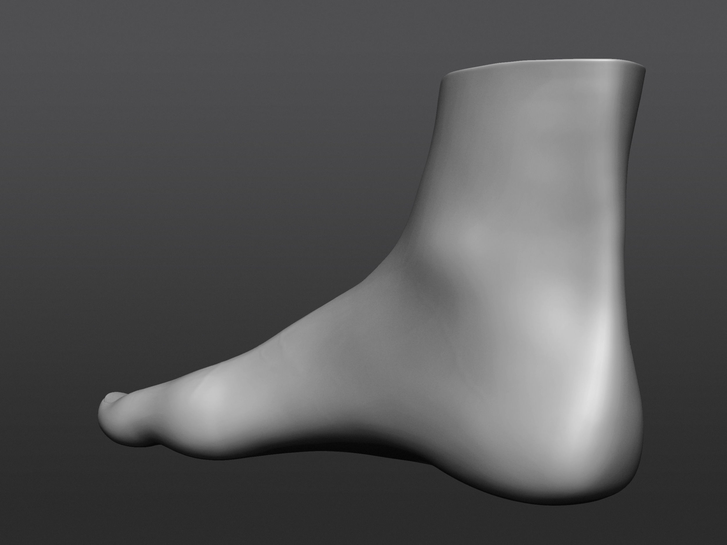 Human 3D foot model 3D model_18