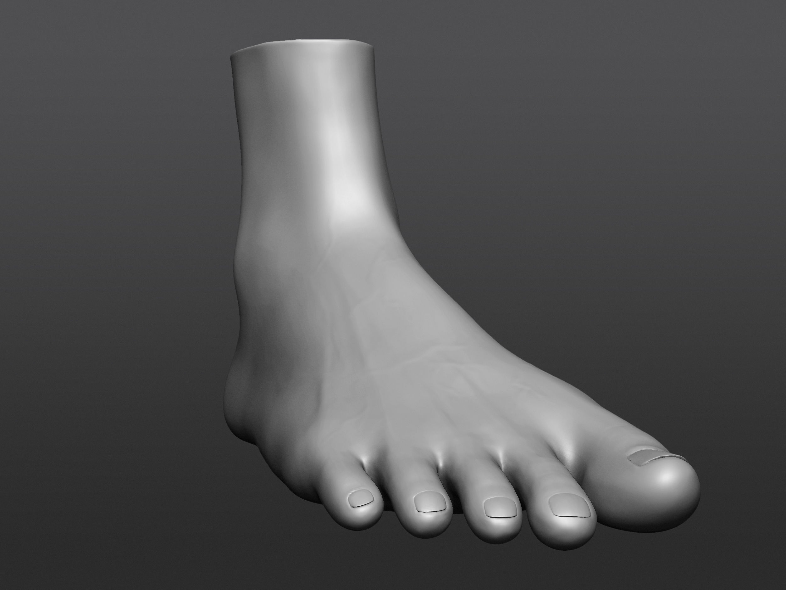 Human 3D foot model 3D model_22