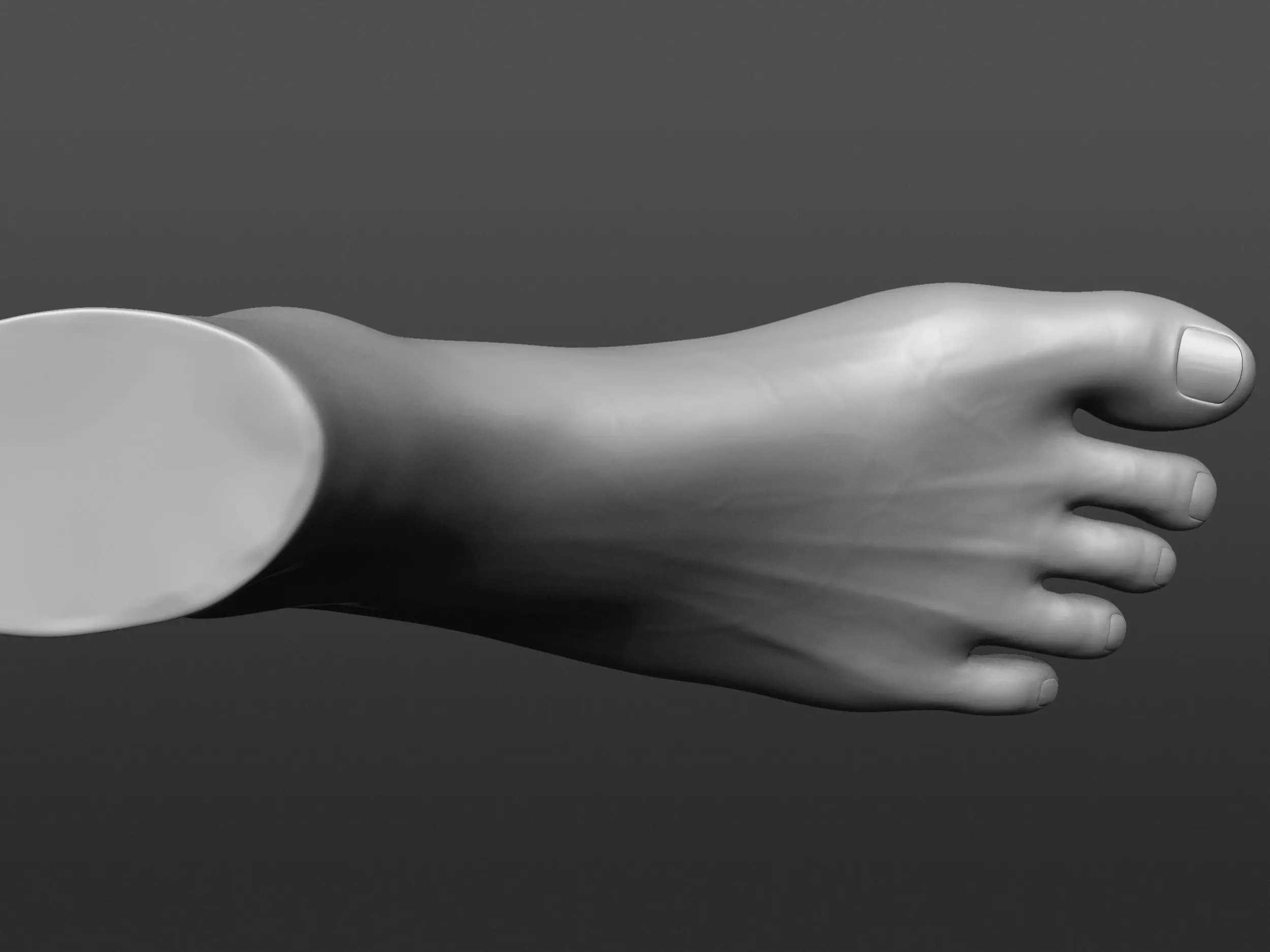 Human 3D foot model 3D model_8