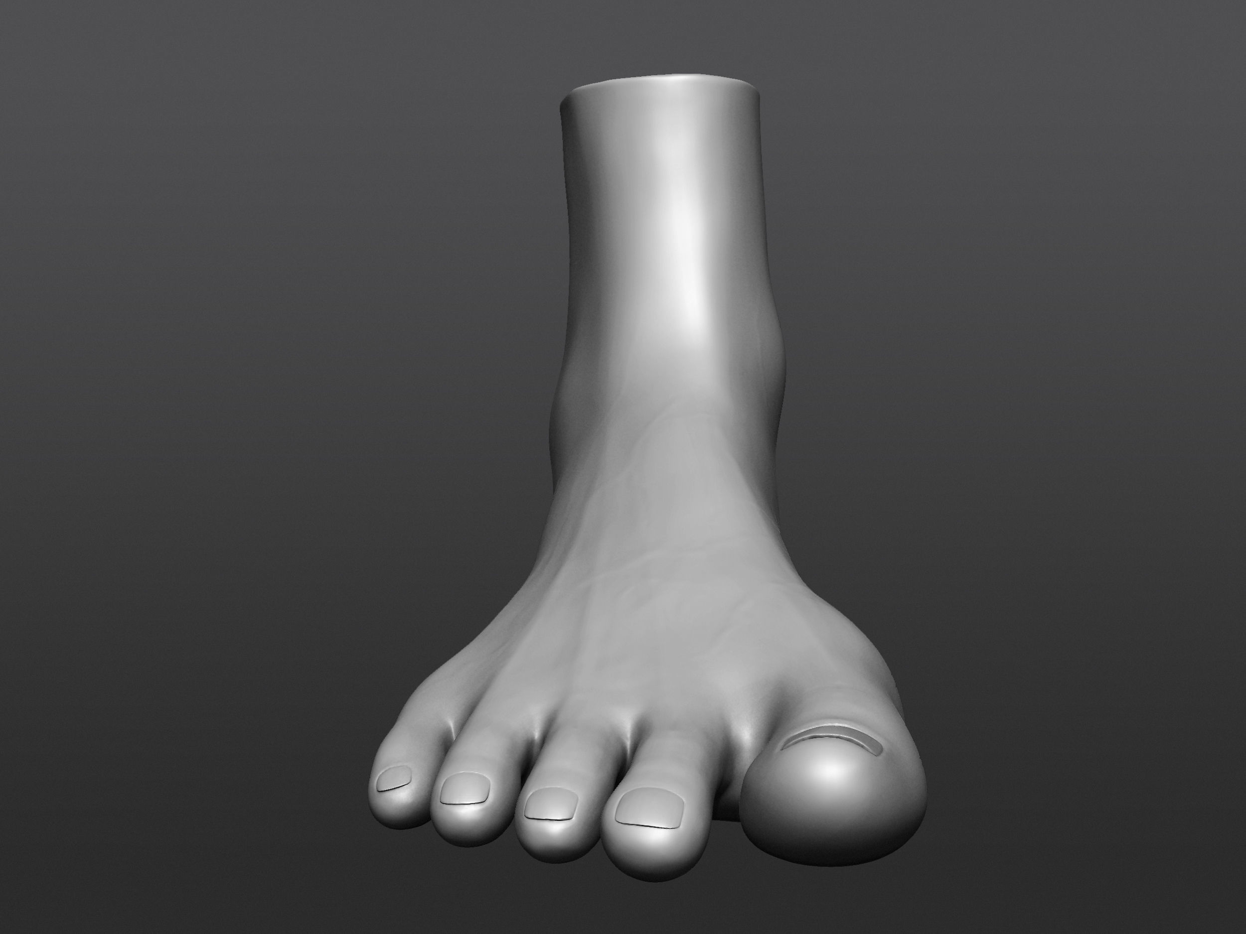 Human 3D foot model 3D model_21