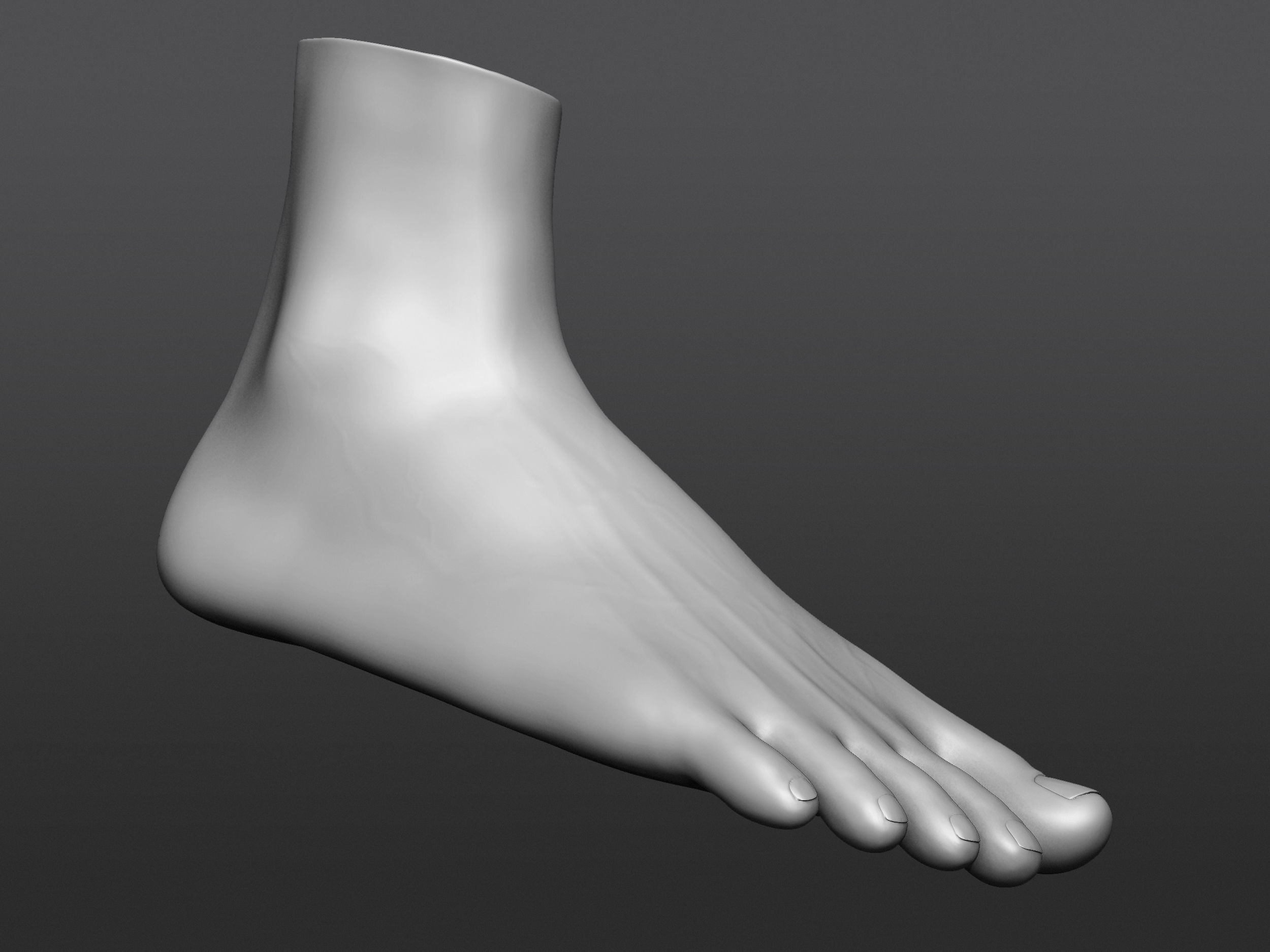 Human 3D foot model 3D model_14