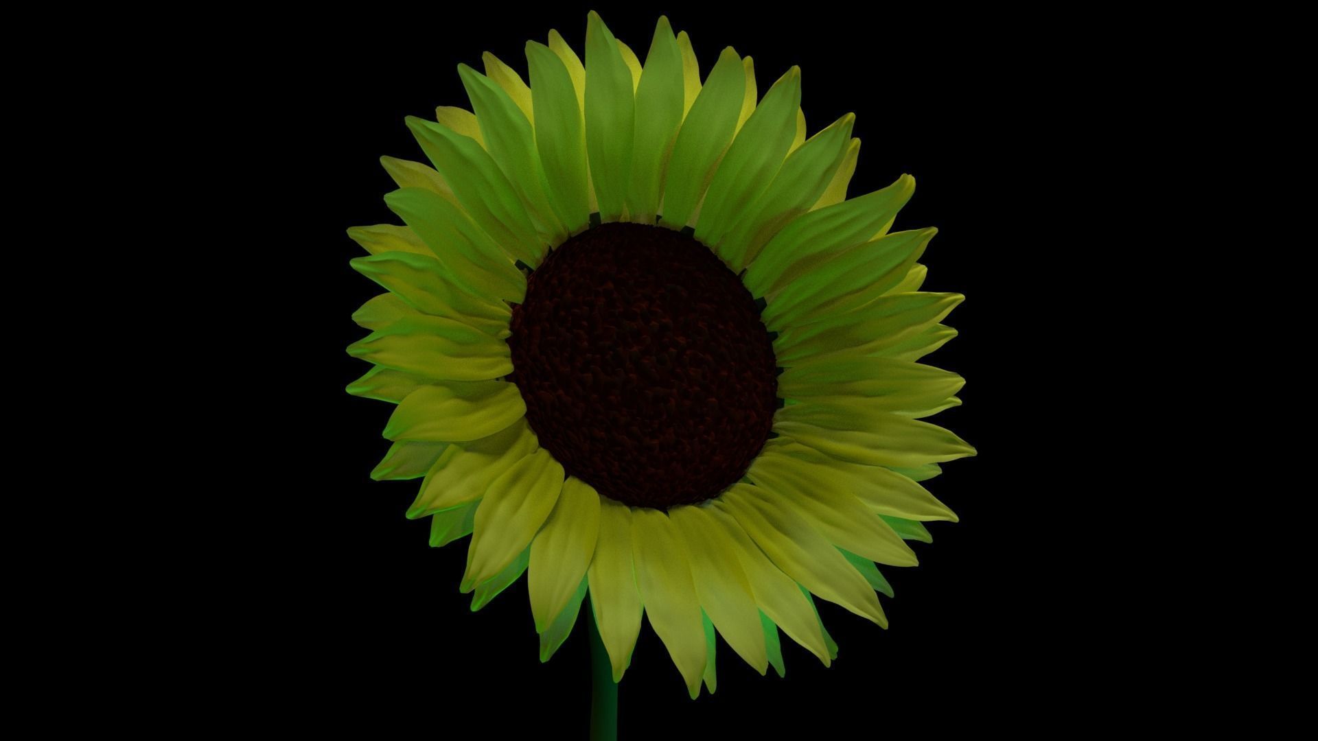 Sunflower 3D Model for Gardens and Interior CG 3D model_1