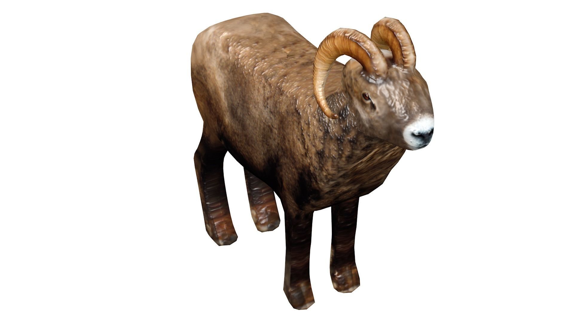 Animated and Rigged 3D Ram Animal Low-poly 3D model_2