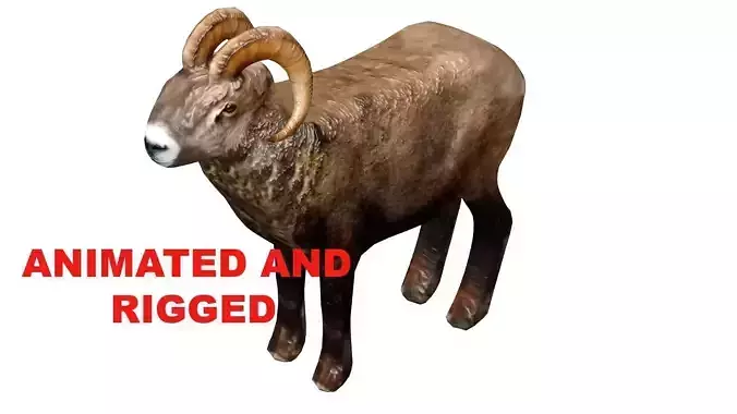 Animated and Rigged 3D Ram Animal