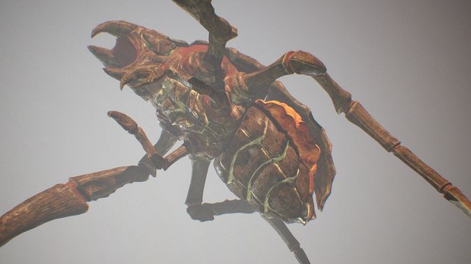 blind bug Low-poly 3D model