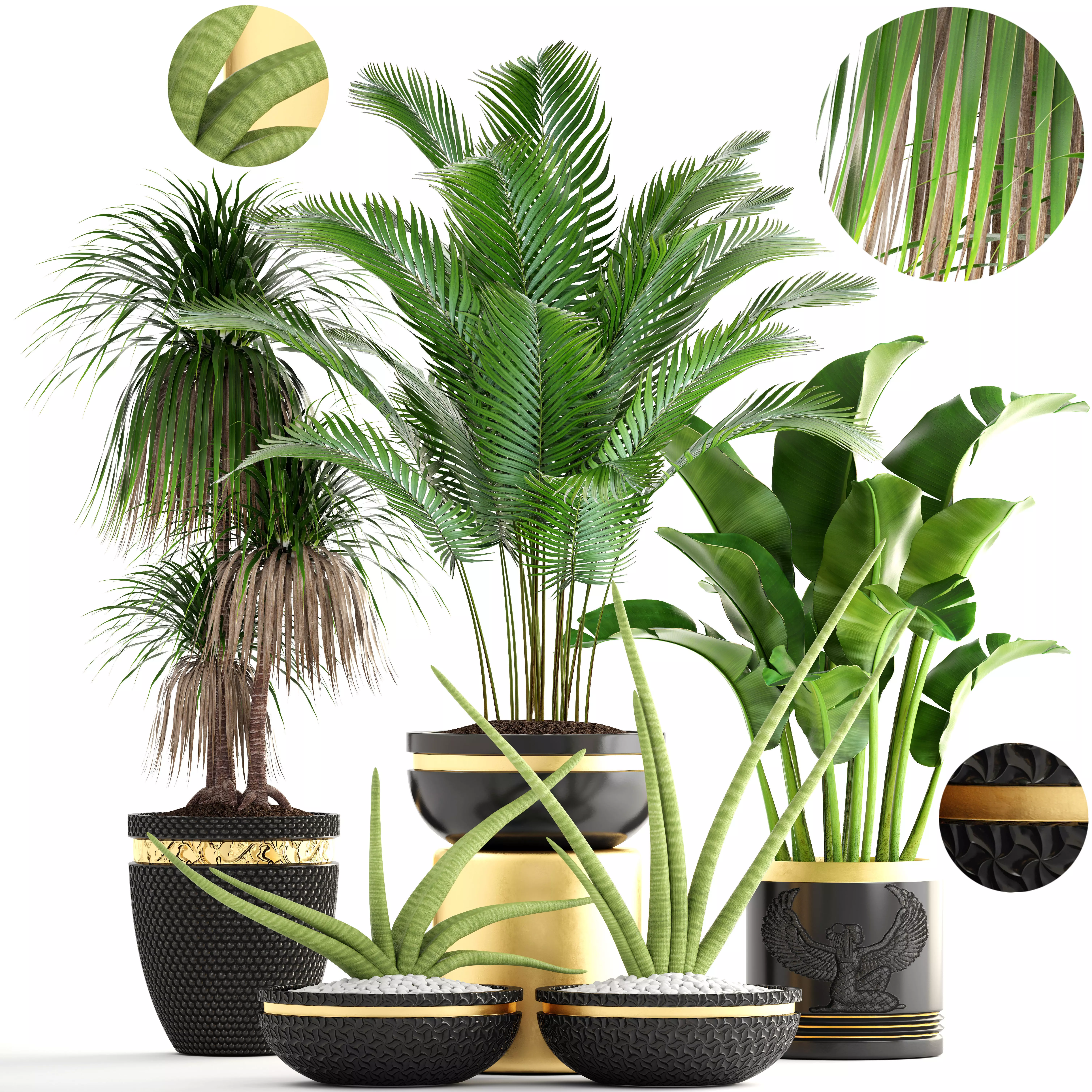 Collection plants group of in pots 3D model