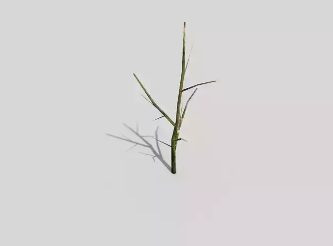 low poly forest dry tree Low-poly 3D model
