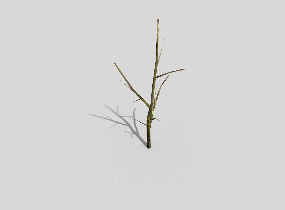 low poly forest dry tree Low-poly 3D model
