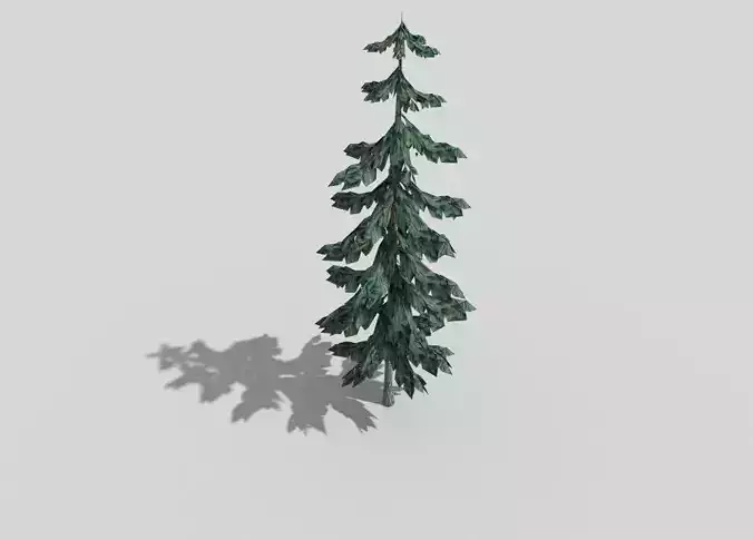low poly pine 1 tree
