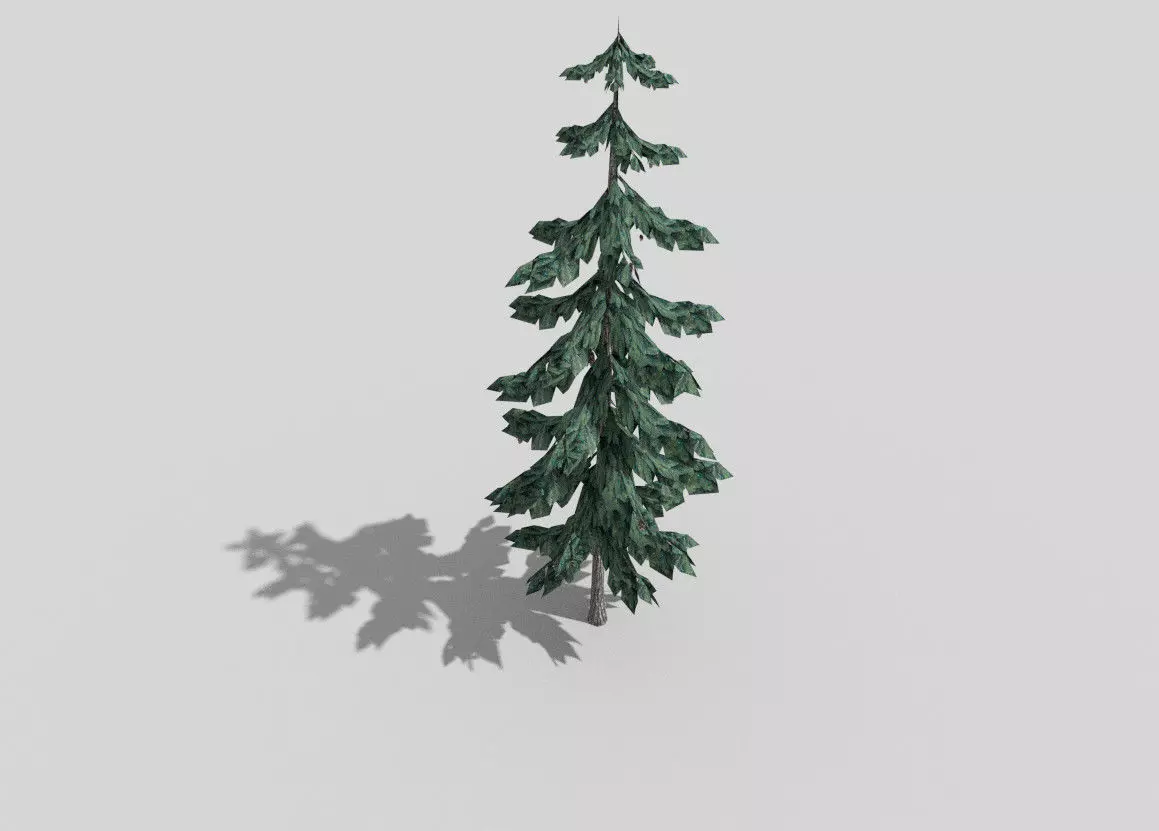 low poly pine 1 tree Low-poly 3D model_0