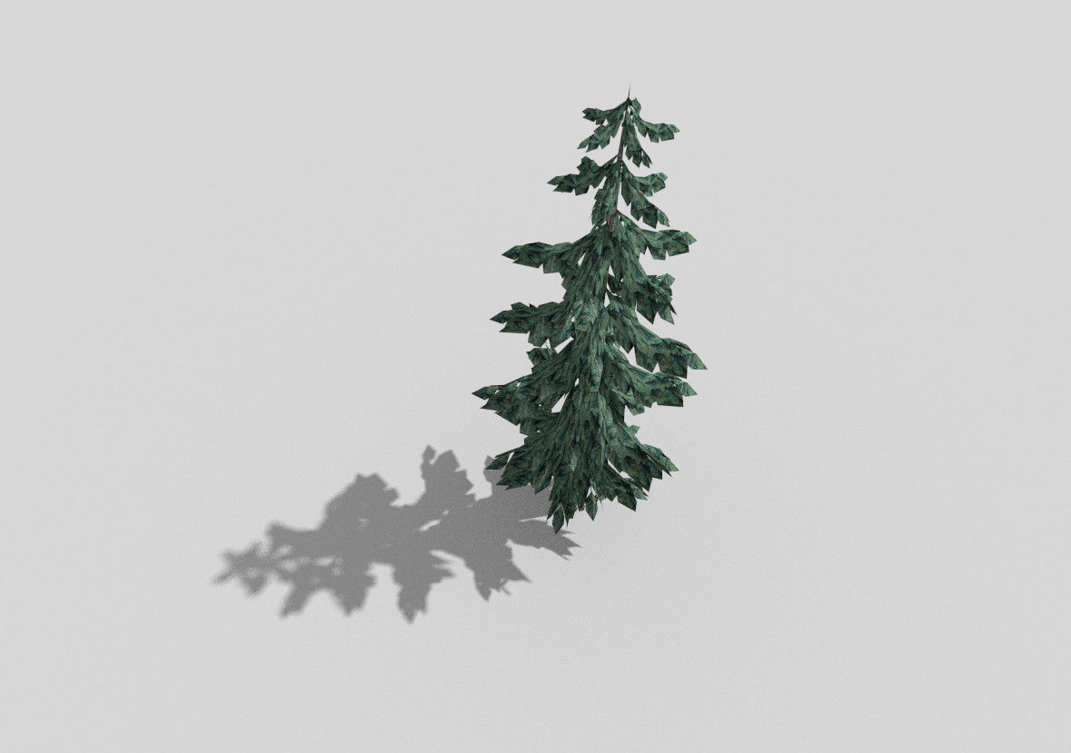 low poly pine 1 tree Low-poly 3D model_3