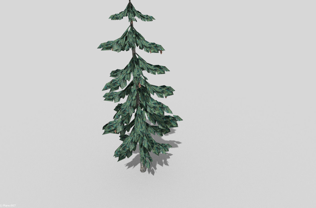 low poly pine 1 tree Low-poly 3D model_1