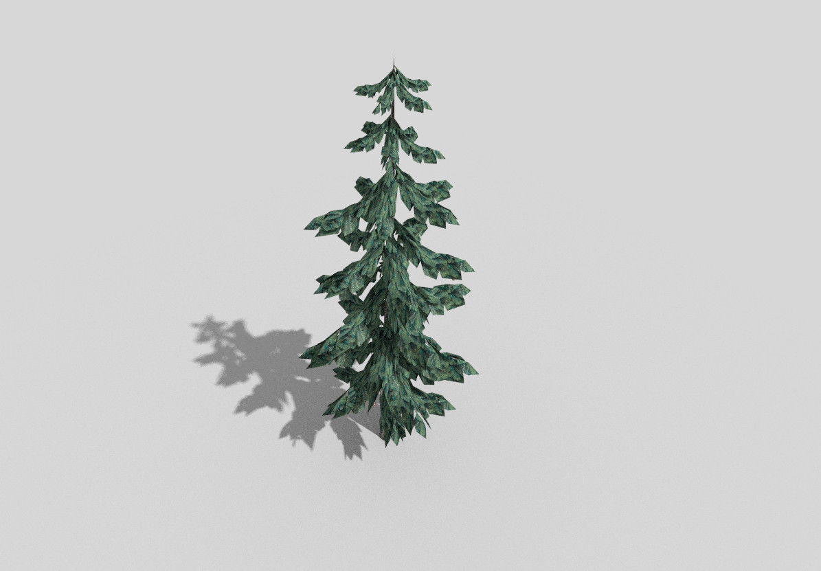 low poly pine 1 tree Low-poly 3D model_2