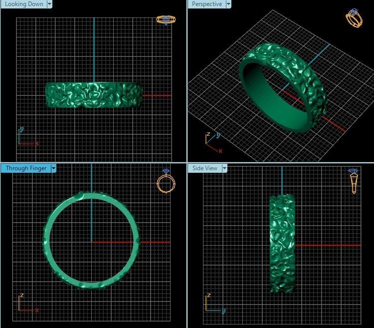 Ring T00825 3D print model_2