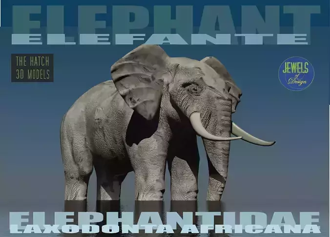 Elephant 3D model with tusks Low-poly 3D model