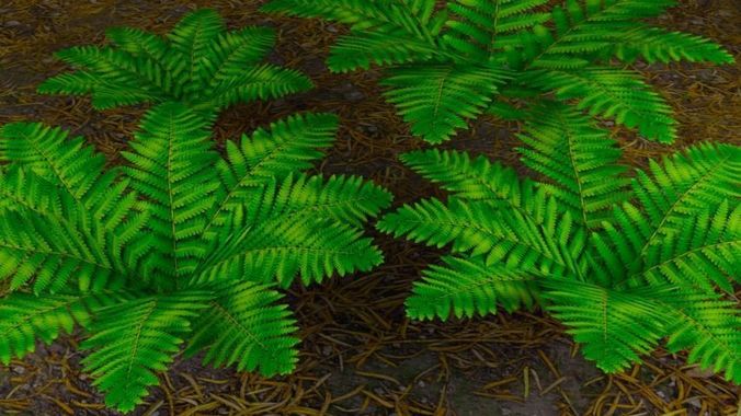 Low Poly Foliage fern leaf Low-poly 3D model