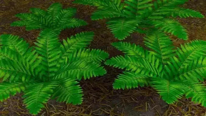 Low Poly Foliage fern leaf