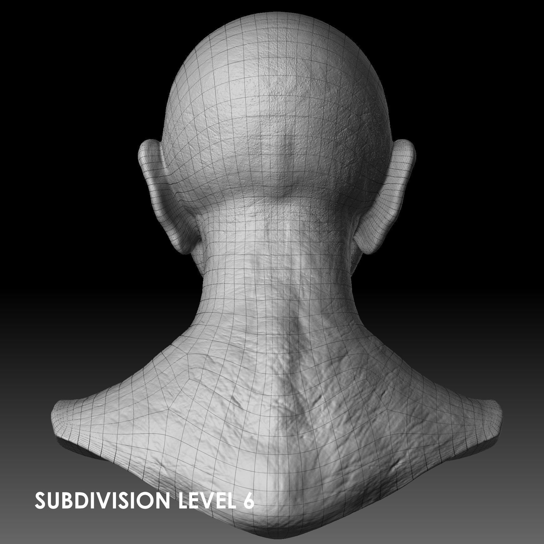 Realistic Old Man Head 3D Sculpt Low-poly 3D model_24