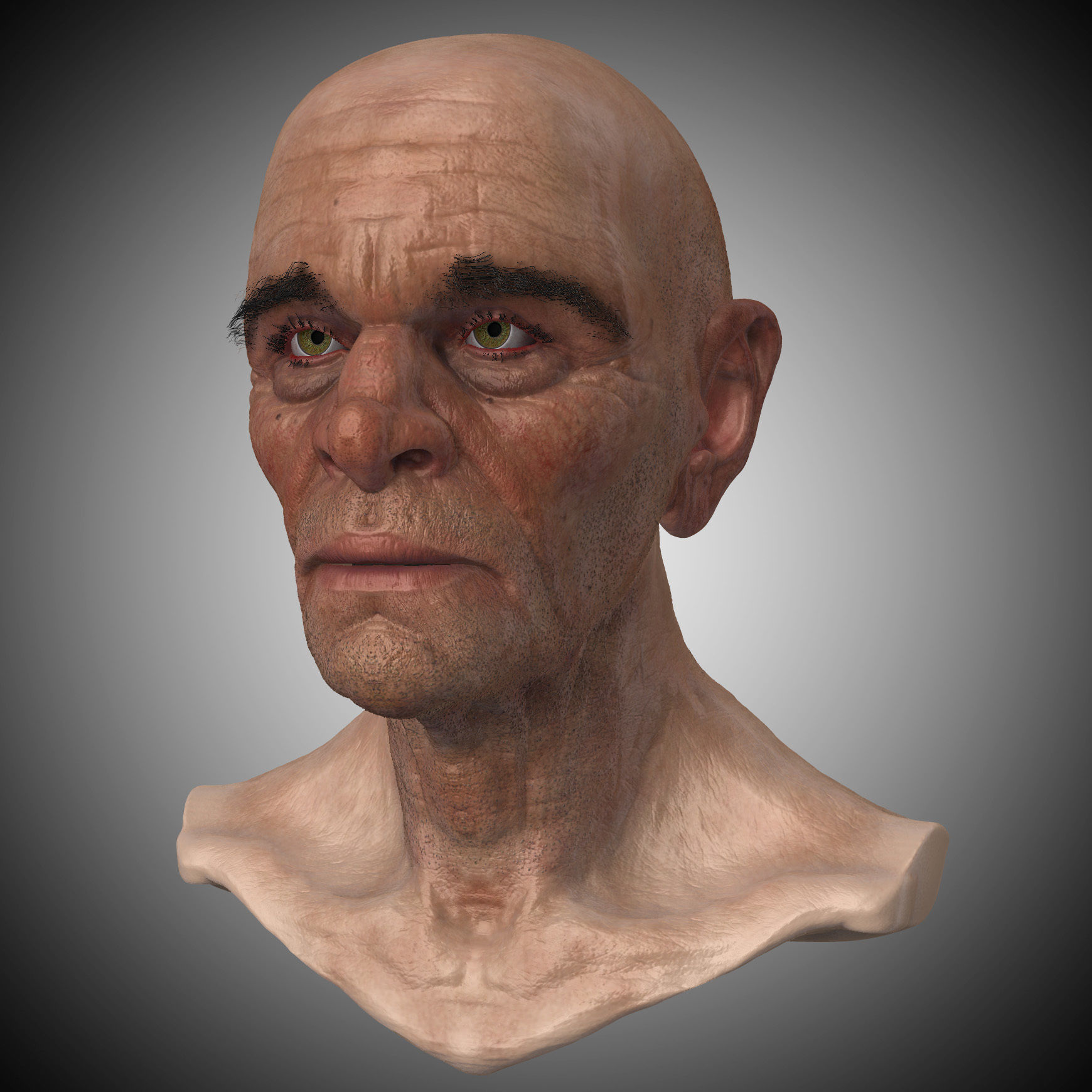 Realistic Old Man Head 3D Sculpt Low-poly 3D model_16