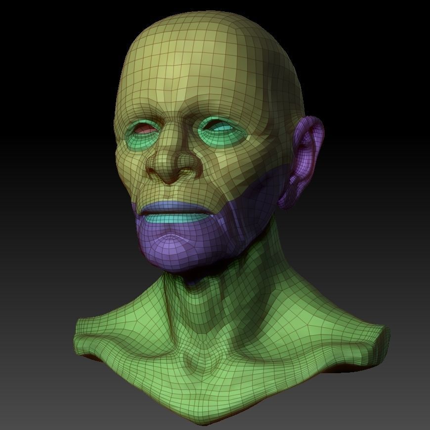 Realistic Old Man Head 3D Sculpt Low-poly 3D model_34