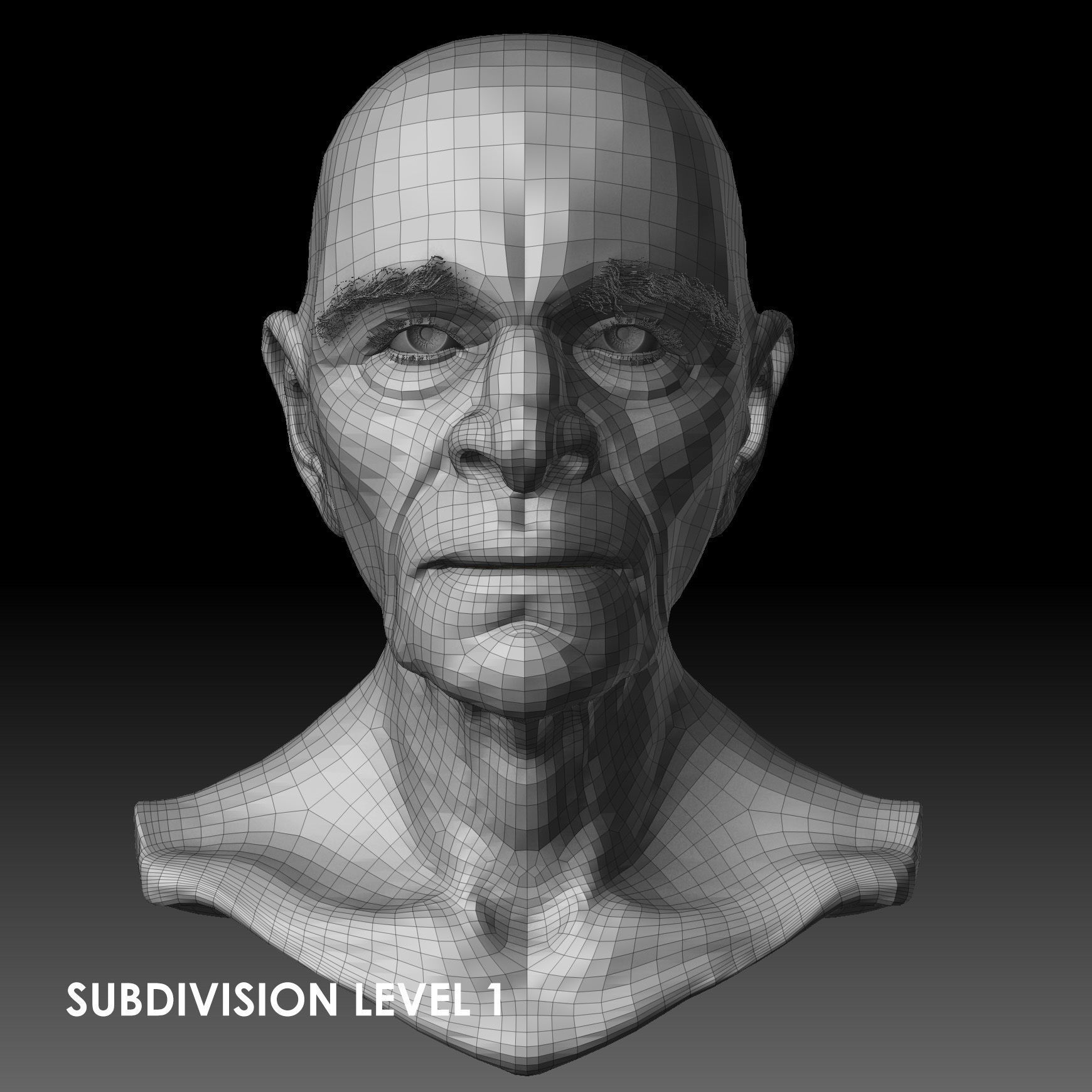 Realistic Old Man Head 3D Sculpt Low-poly 3D model_19