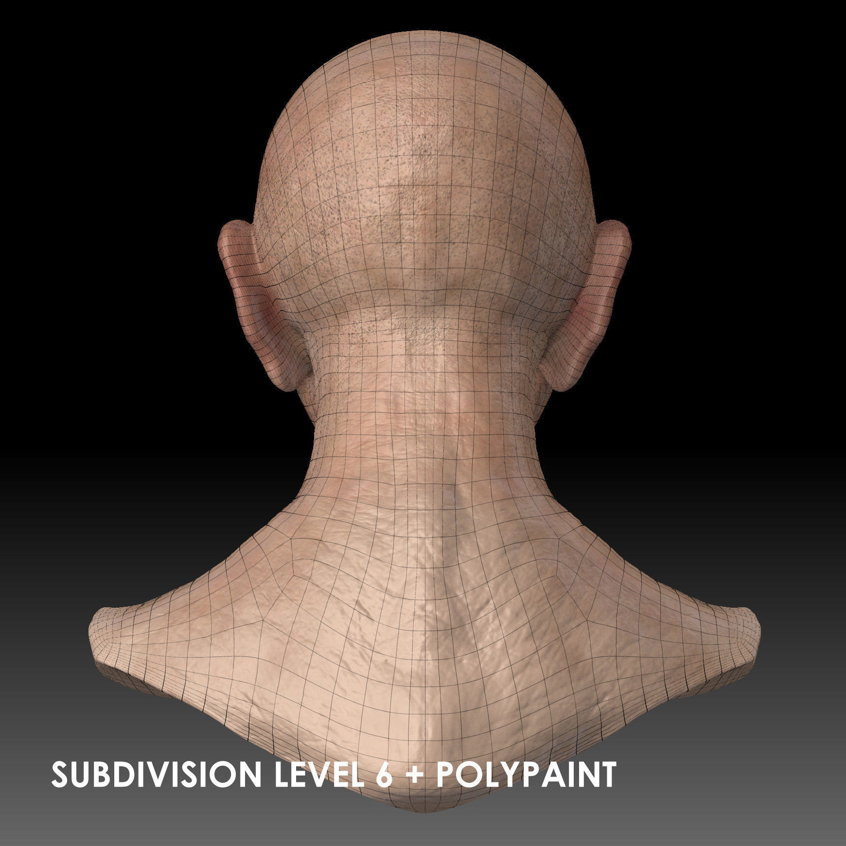 Realistic Old Man Head 3D Sculpt Low-poly 3D model_33