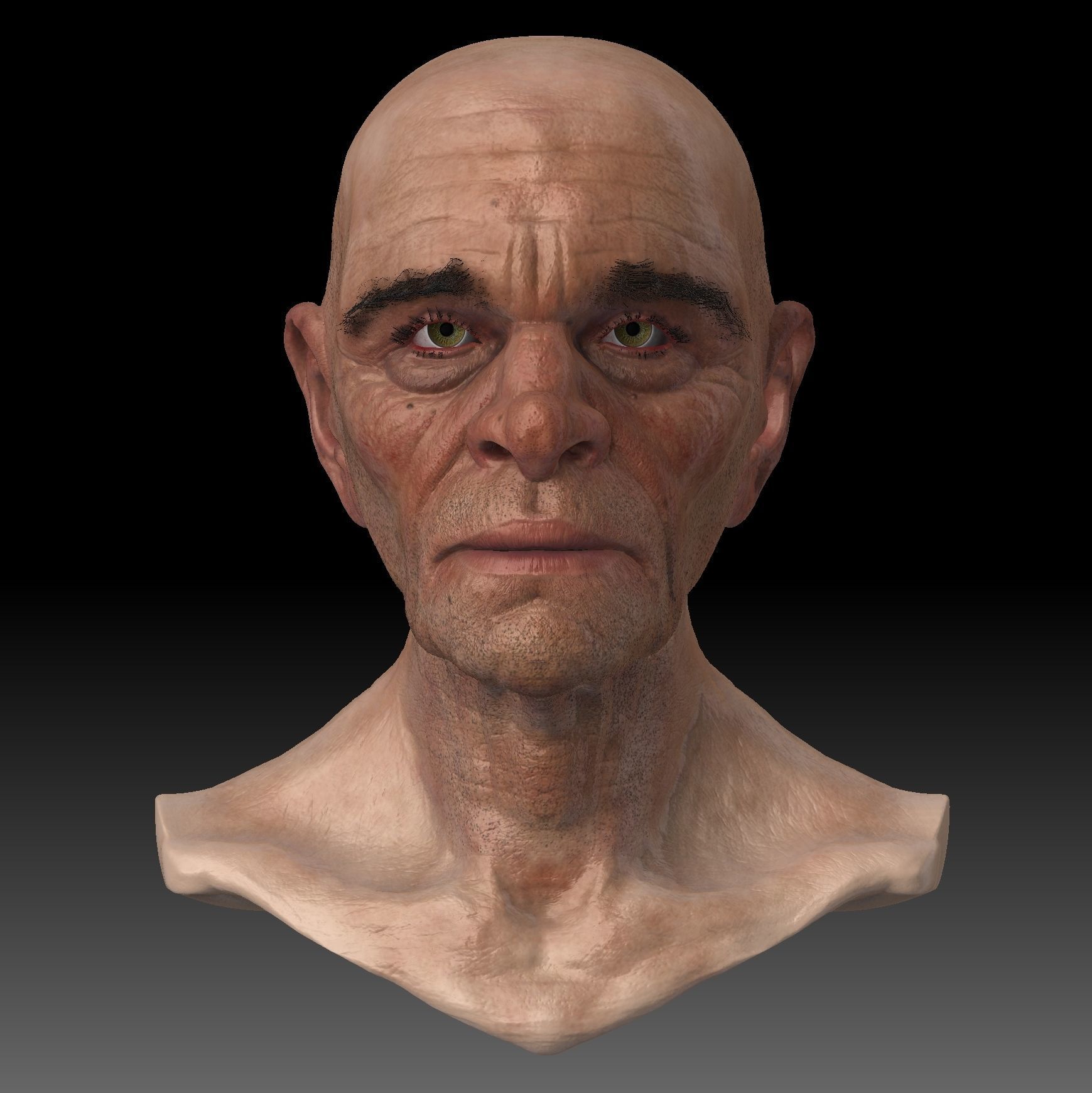 Realistic Old Man Head 3D Sculpt Low-poly 3D model_2