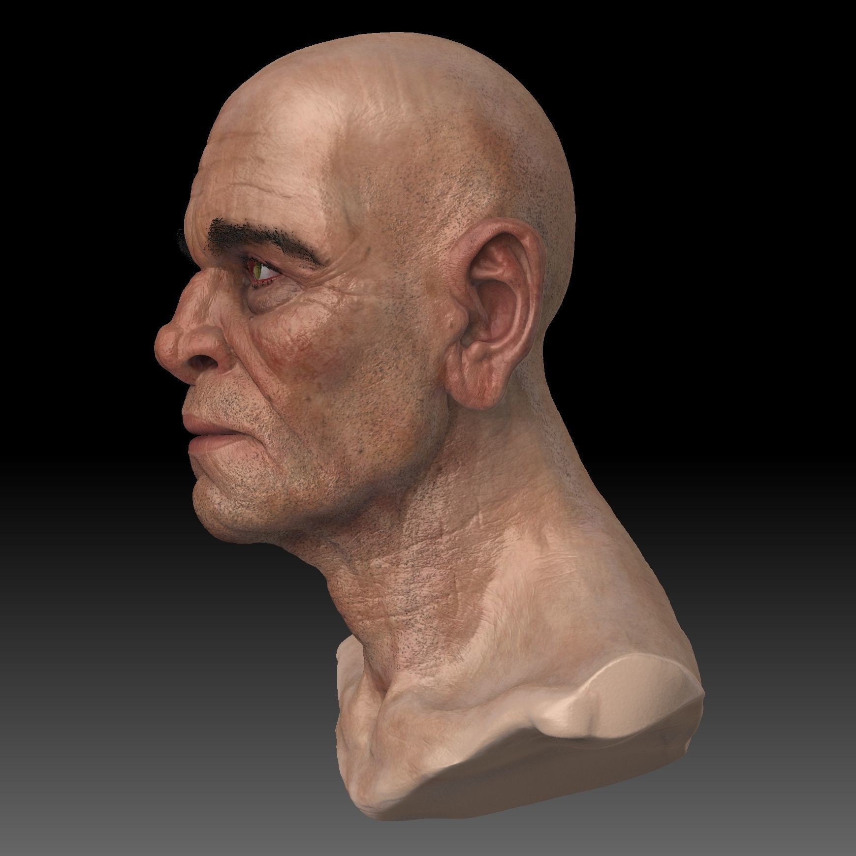 Realistic Old Man Head 3D Sculpt Low-poly 3D model_5